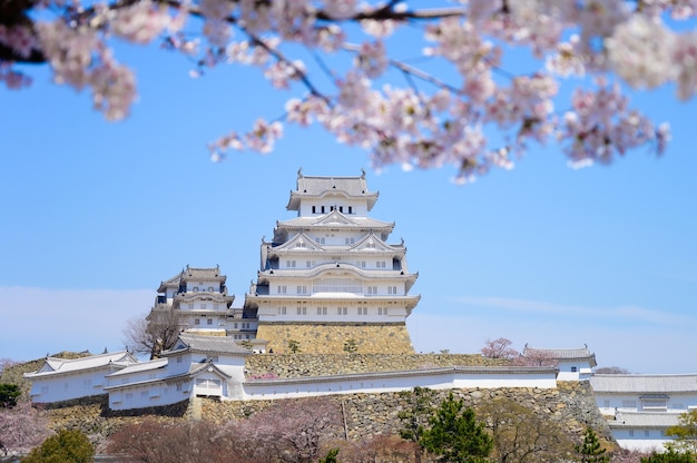 青い空と前景に桜や桜が咲く姫路城 プレミアム写真