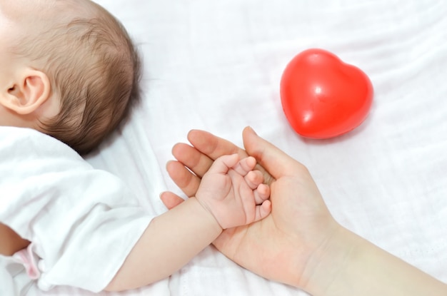 Holding Hands Free Photo