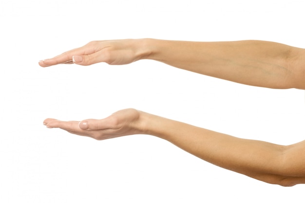 手を握るか 測定します 白で隔離される女性の手ジェスチャー プレミアム写真