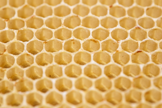 Premium Photo | Honeycomb cells macro