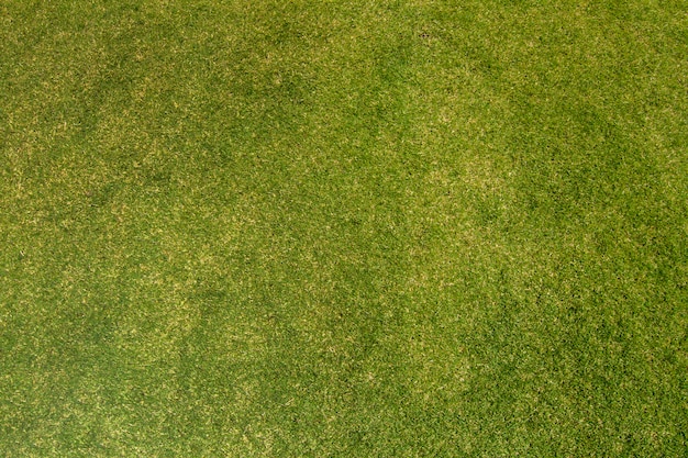 Premium Photo Horizontal View Of Seamless Green Grass Texture