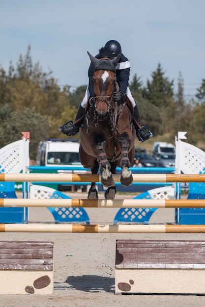 Premium Photo | Horse jumping competition