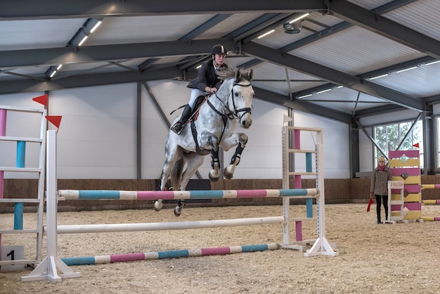 horse jumping equipment