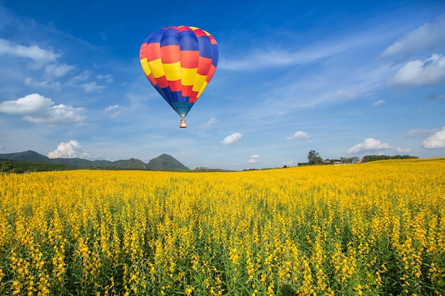 Premium Photo | Hot air balloon over yellow flower fields against blue sky