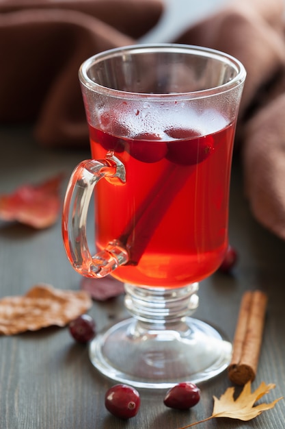 Premium Photo | Hot cranberry tea with cinnamon warming drink
