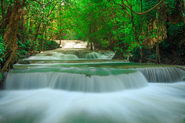 Khuean Srinagarindra National Park 4k Wallpaper