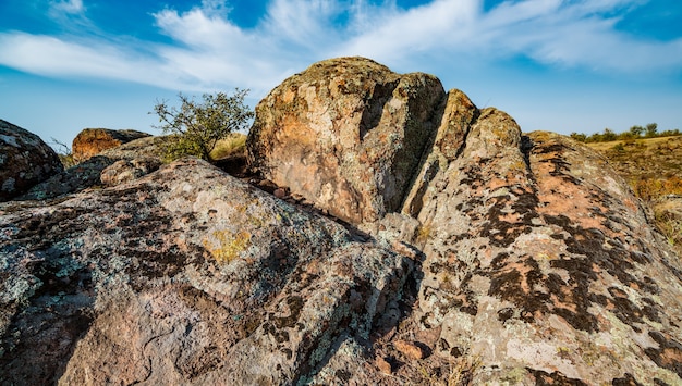 Галереи фото огромные дойки