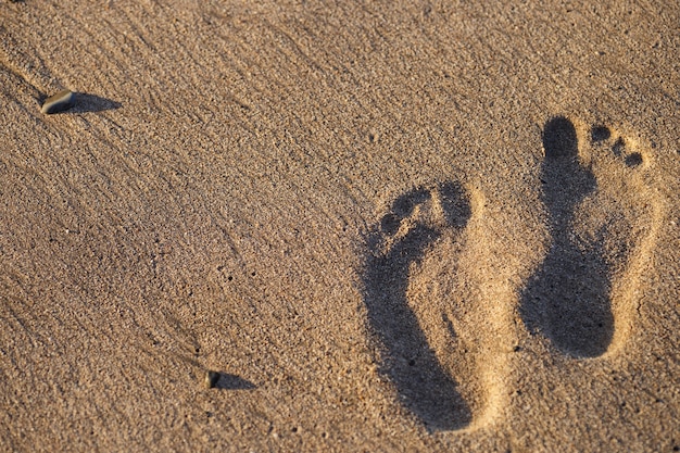 砂浜の人間の足跡 プレミアム写真