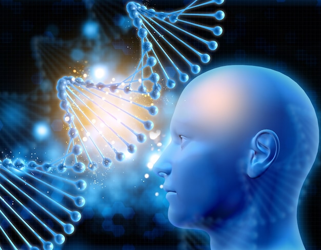 Free Photo | Human head looking dna