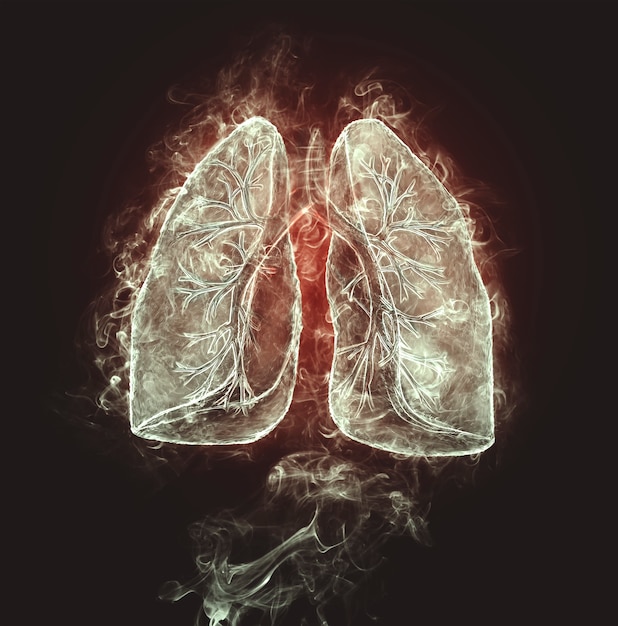 Premium Photo | Human lungs and bronchi made of smoke on a black ...