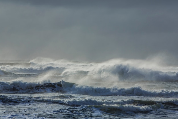 Premium Photo | Hurricane waves during a winter storm off the coast of ...