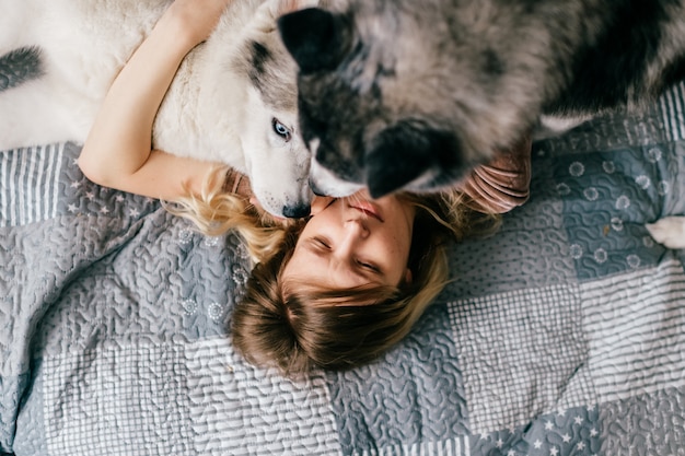 ベッドに横になっている飼い主の顔をなめるハスキー子犬 プレミアム写真