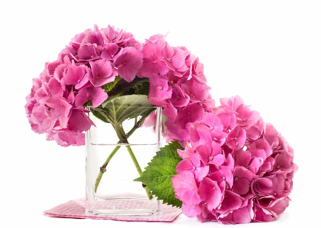 Hydrangea Flowers Inside Glass Vase Photo Premium Download