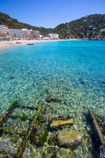 Premium Photo Ibiza Caleta De Sant Vicent Cala San Vicente San Juan