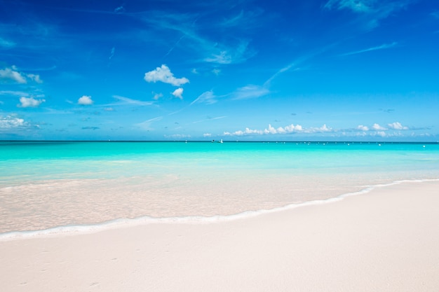 Premium Photo | Idyllic tropical beach in caribbean with white sand ...