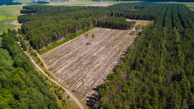 Premium Photo | Illegal deforestation view from the drone