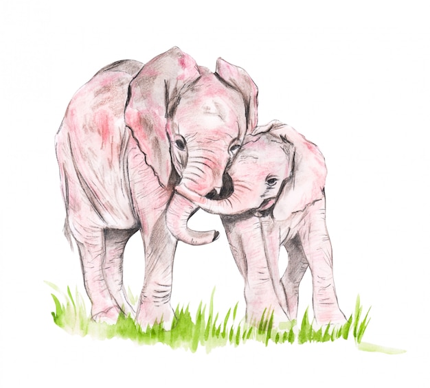 Premium Photo Illustration drawing of a watercolor family of elephants