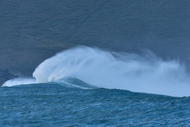 岸に打ち寄せる野生の海の波の画像 無料の写真