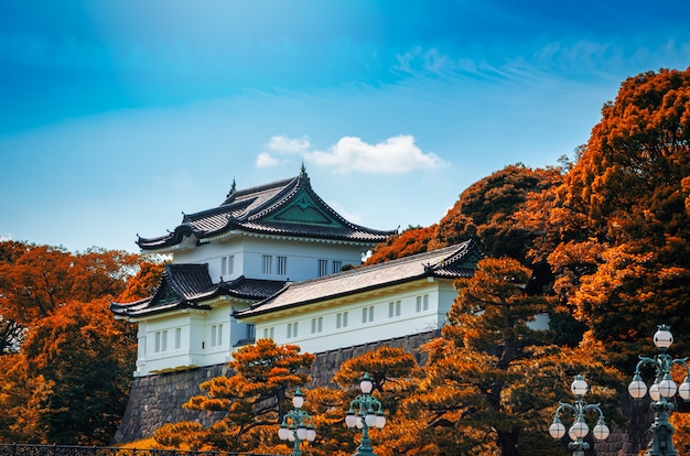 Premium Photo Imperial Palace With Autumn Leaf At Daytime In Tokyo Japan