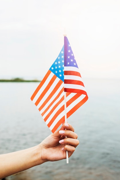 Free Photo | Independence day concept with woman at the sea