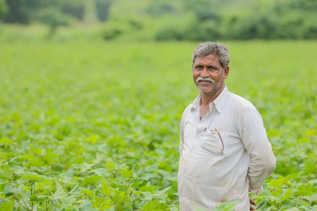 Premium Photo | Indian farmer in cotton farm