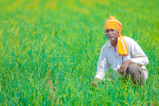 Premium Photo | Indian farmer at field