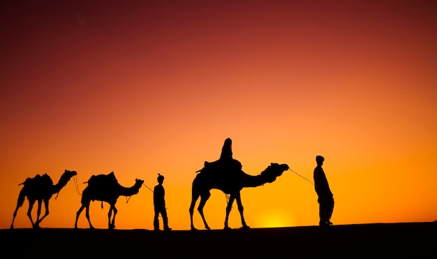 Premium Photo | Indian men walking through the desert with their camels