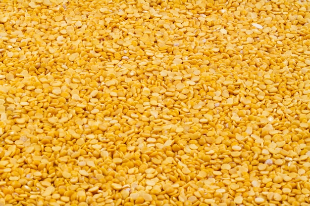 Indian toor dal Premium Photo