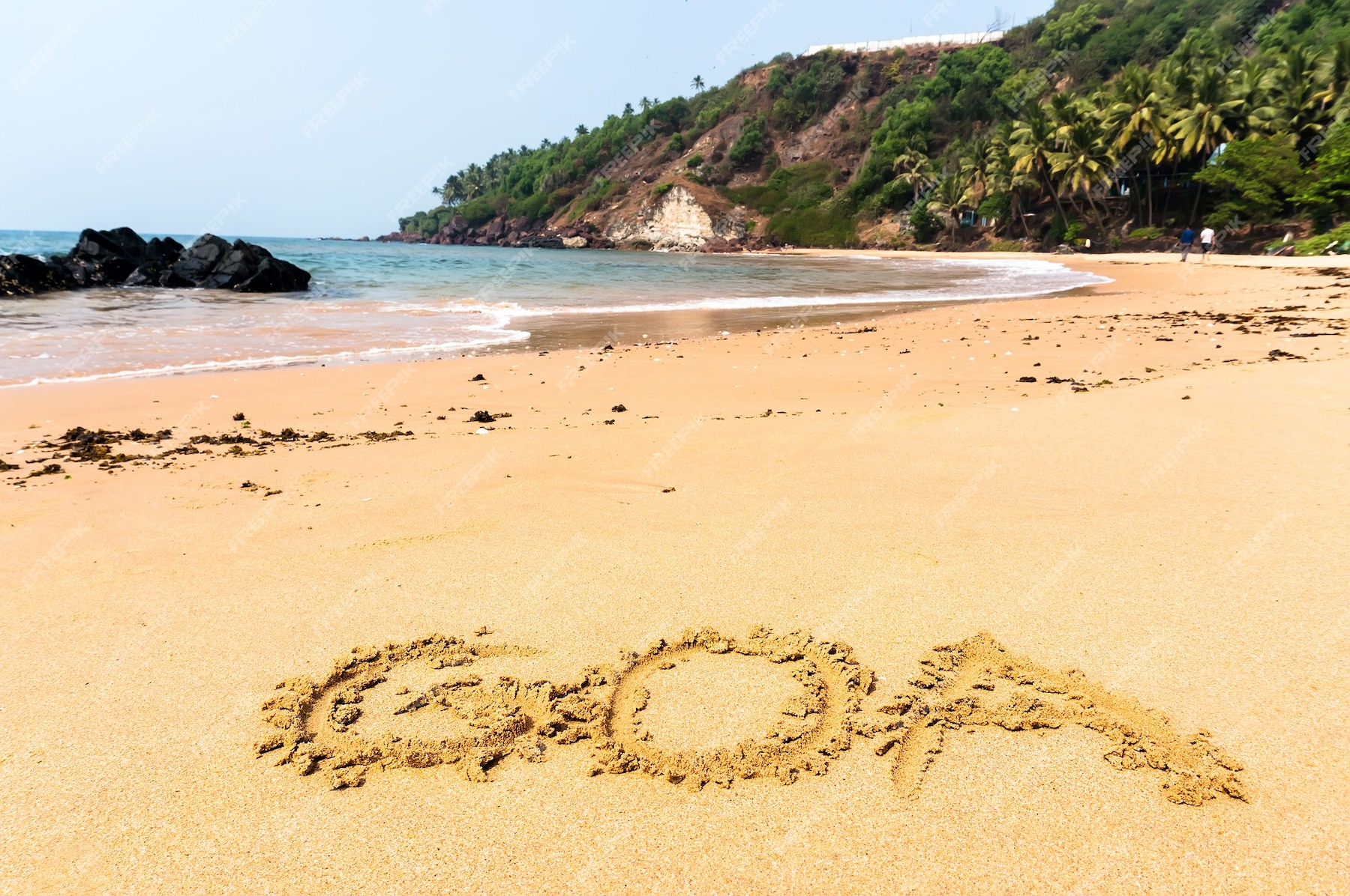 sandy goa tours and travels photos