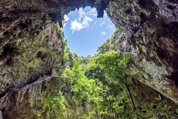 Premium Photo | Inside cave with sunlight through hole on cave ceiling