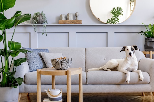 Interior Design Of Living Room With, Grey Sofa Decorating Ideas