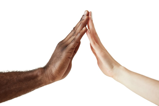 Free Photo | Interracial human hands isolated