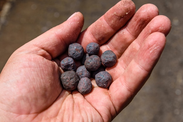 Premium Photo | Iron ore taconite pellets in a worker hand