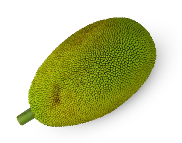 Premium Photo Jackfruit Isolated On White Background