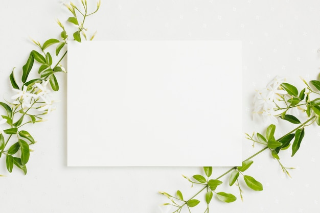 白い背景の上のウェディングカードとjasminum Auriculatum花小枝 無料の写真