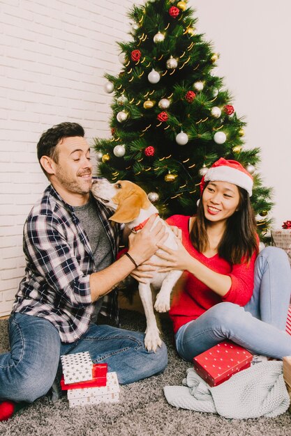 Couple Christmas Pictures With Dogs | Christmas Stockings