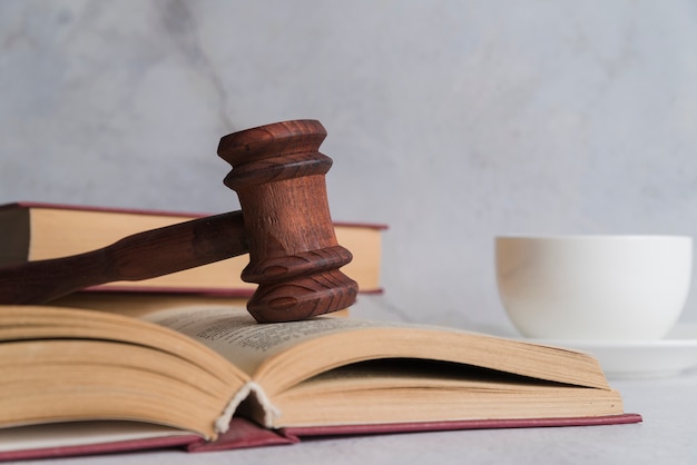 Judge's gavel with book Free Photo