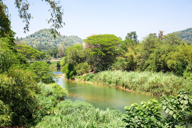 ジャングル川とスリランカの熱帯下草 セイロンの風景 プレミアム写真