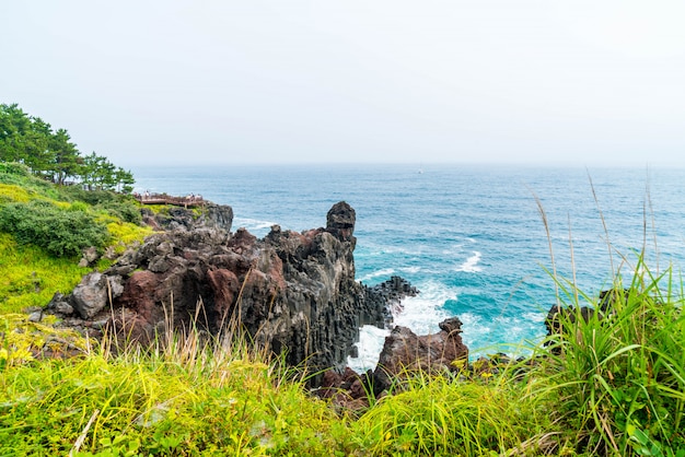 Premium Photo | Jungmun daepo coast jusangjeolli cliff, jeju island