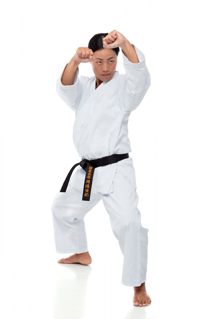 Premium Photo | Karate instructor