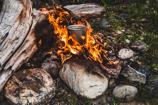 火に掛かっているやかん 野生の火で料理を調理しています たき火のクローズアップで美しい大きな丸太が燃えます 野生の自然の中での生存 大釜の素晴らしい炎 鍋が炎の中でハングアップします プレミアム写真