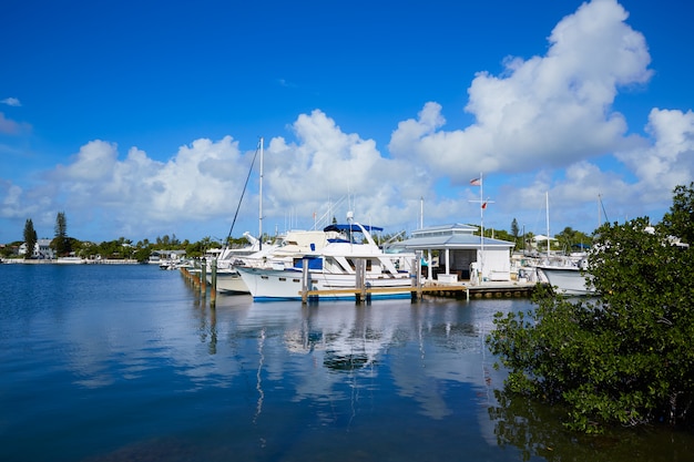 Premium Photo | Key west florida marina garrison bight florida