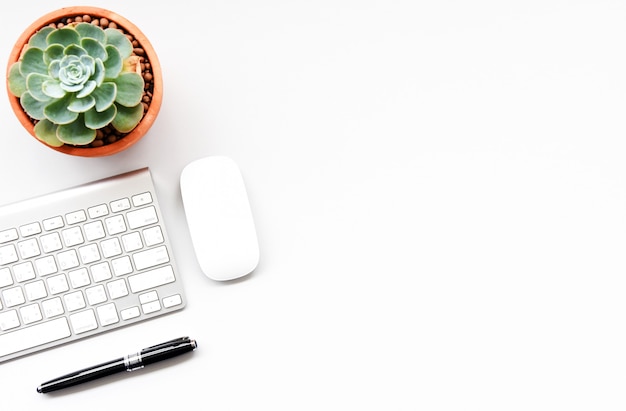 Keyboard, mouse computer and succulent on the white desk Premium Photo
