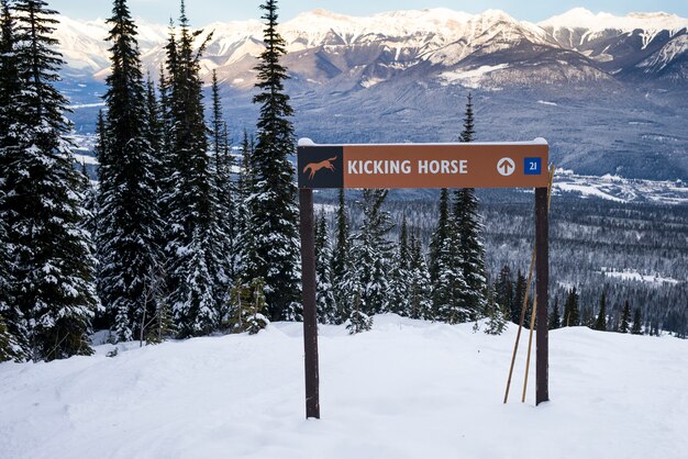 Premium Photo | Kicking horse direction sign with mountains in the