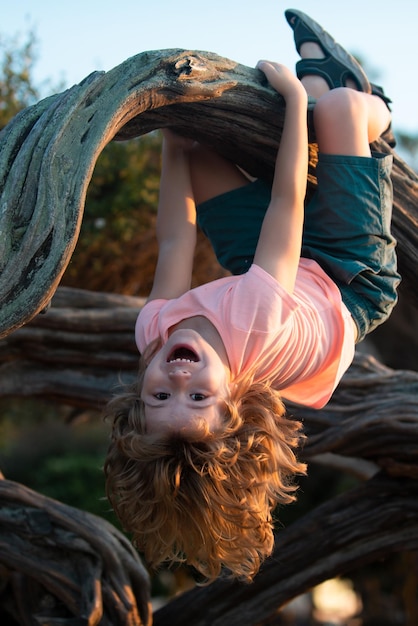 Premium Photo | Kid climbing tree. young boy playing and climbing a ...