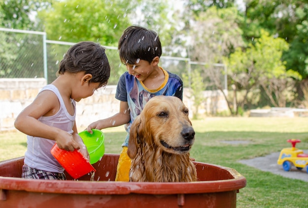 Kids having a shower together with their cute golden retriever in the garden 