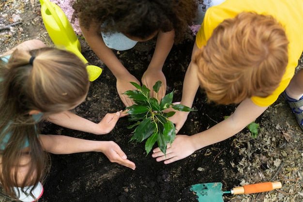 Premium Photo | Kids planting together in the forest