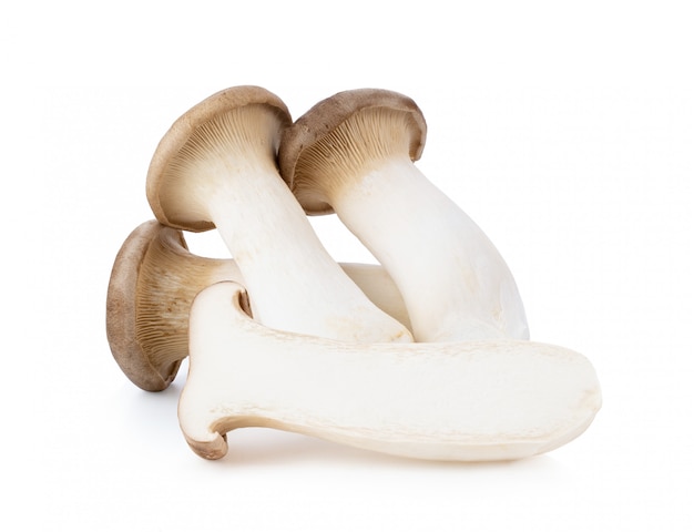 Premium Photo | King oyster mushroom pleurotus eryngii isolated on ...