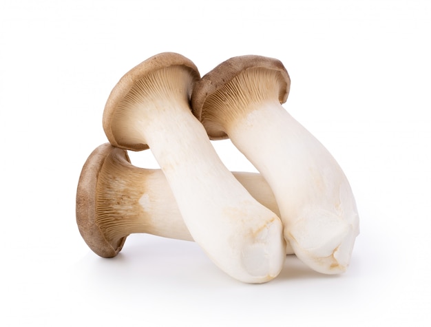 Premium Photo | King oyster mushrooms