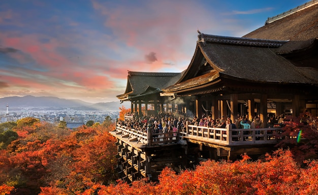 京都秋の清水寺 清水寺 プレミアム写真